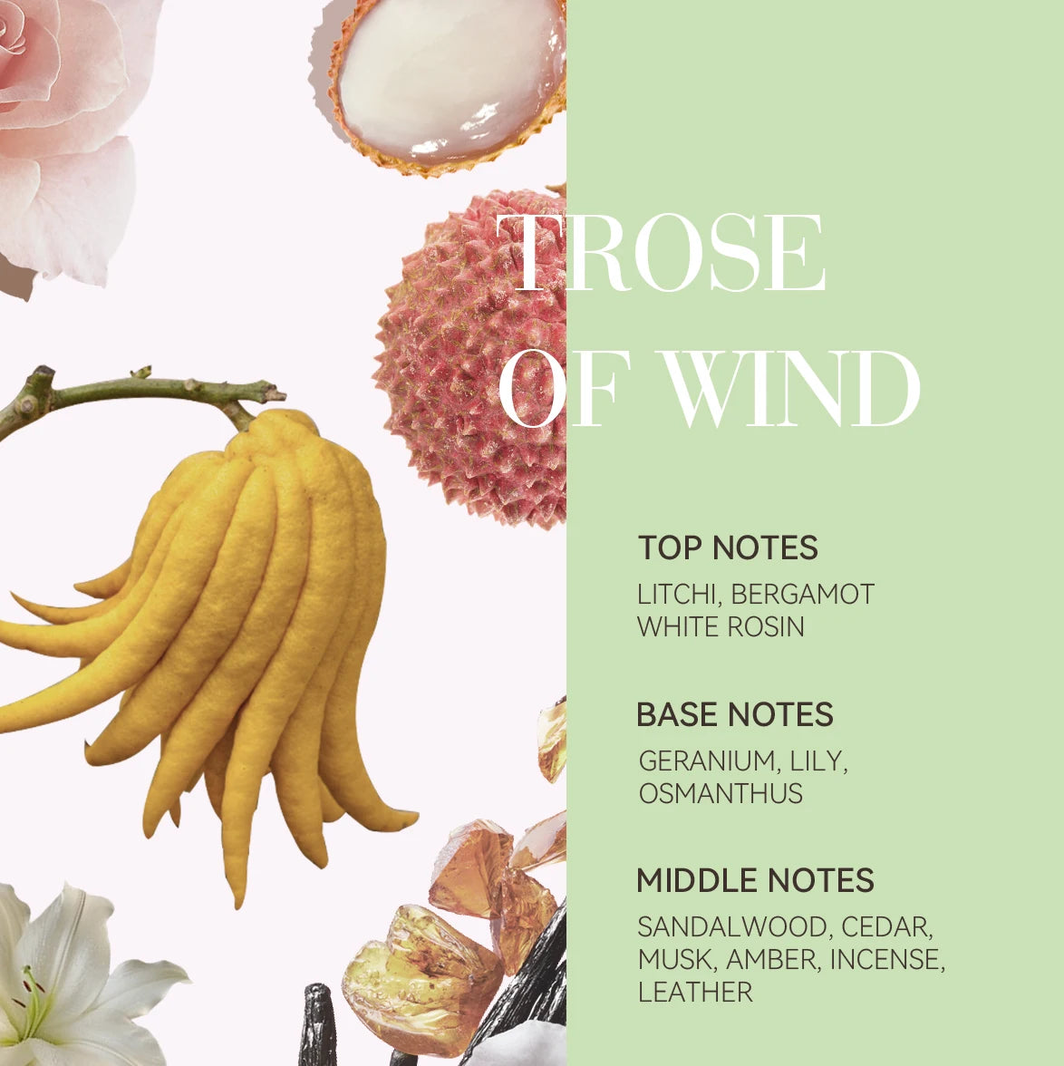 Lavender+ Purple Shampoo, Conditioner, Hair Mask & Leave-In Spray Set