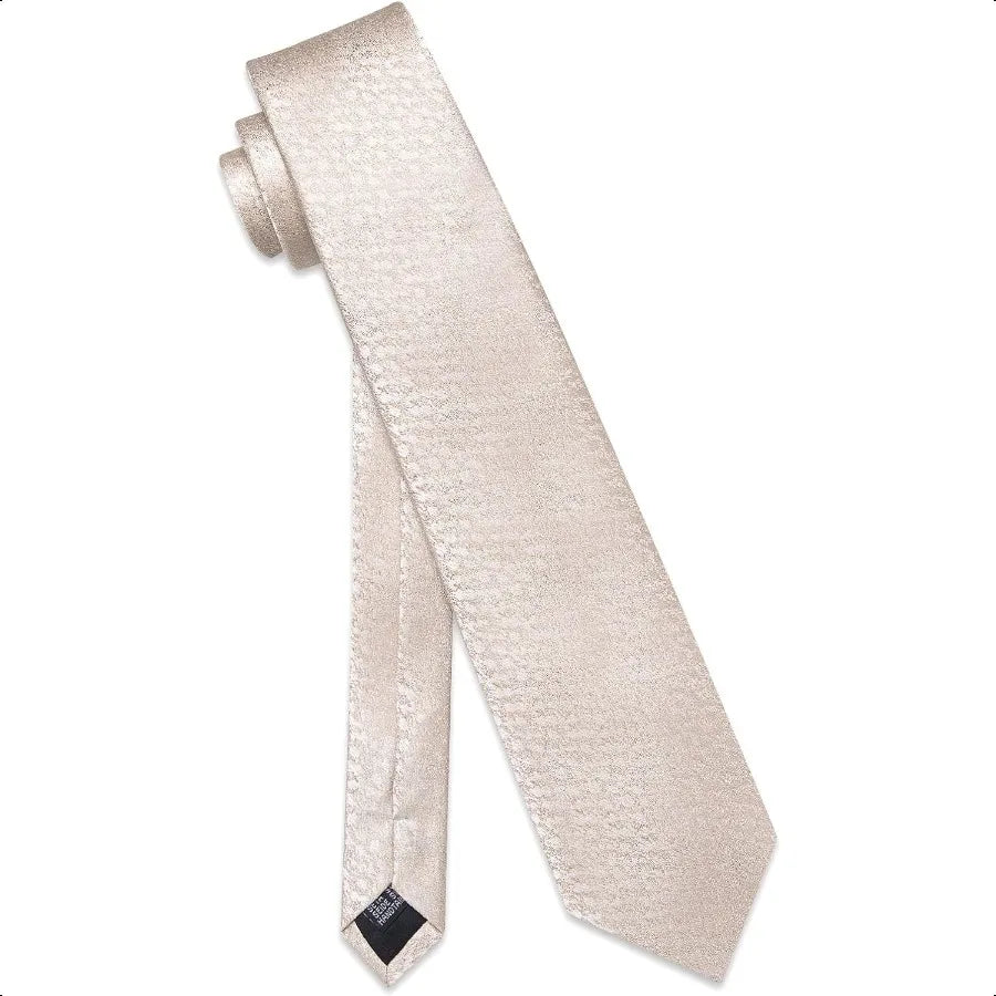 Silk Ties for Men Paisley Floral Striped Necktie and Pocket Square Cufflinks Tie Clip Set 4PC