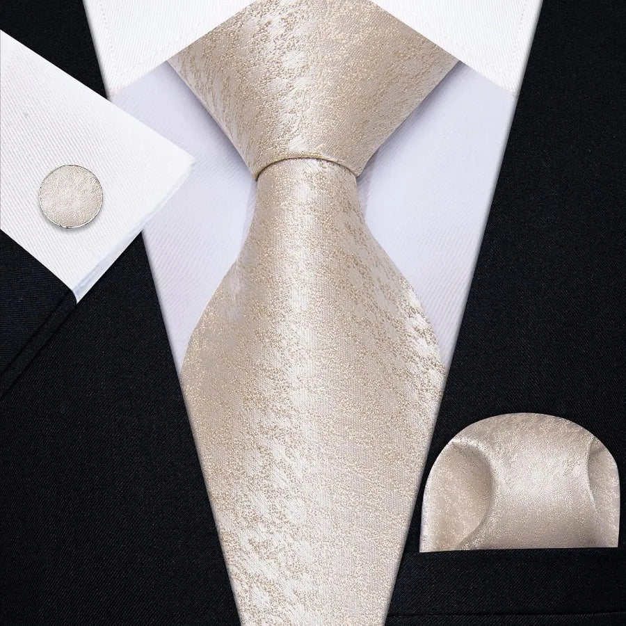 Silk Ties for Men Paisley Floral Striped Necktie and Pocket Square Cufflinks Tie Clip Set 4PC
