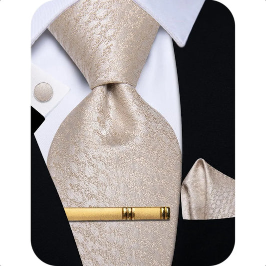 Silk Ties for Men Paisley Floral Striped Necktie and Pocket Square Cufflinks Tie Clip Set 4PC