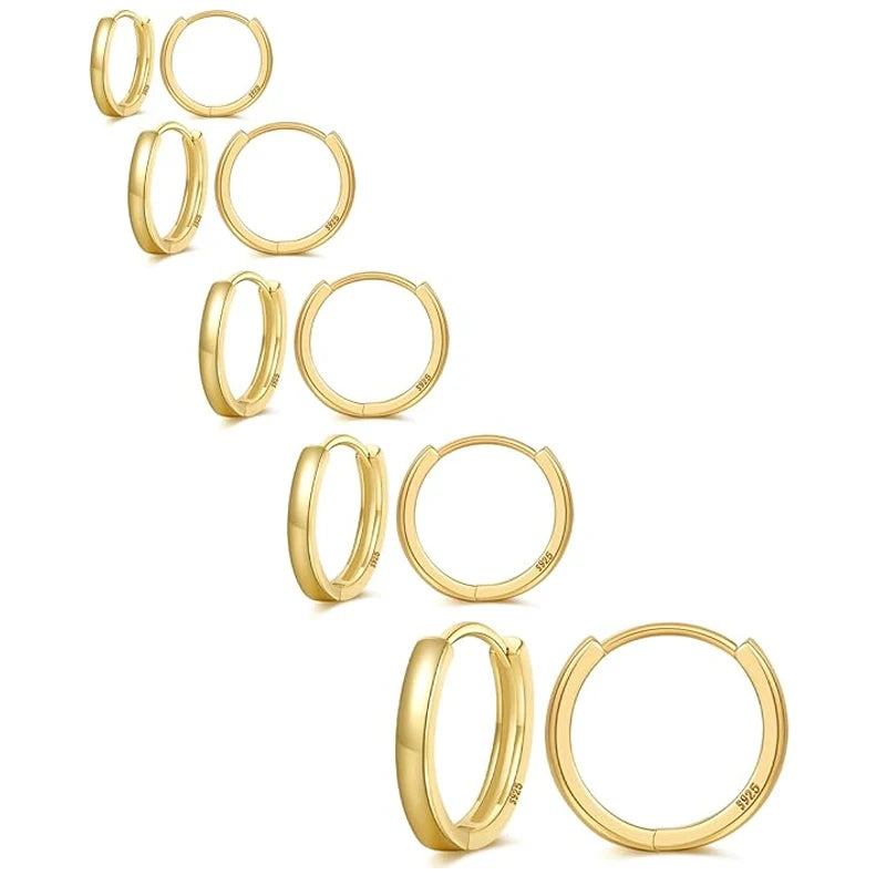 5 Pairs Of Women'S Silver Hoop Cartilage Earrings Set, Suitable For Multiple Ear Holes, Suitable For Daily, Party, Festival, Wed